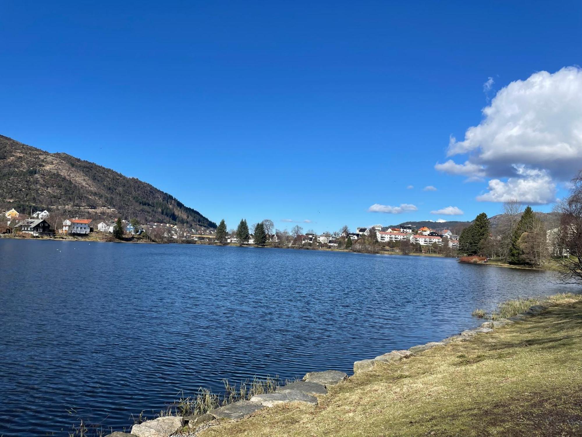 3 Sleeping Rooms For 82M2 Which Direct Traffic To Airport And City Center Bergen Esterno foto