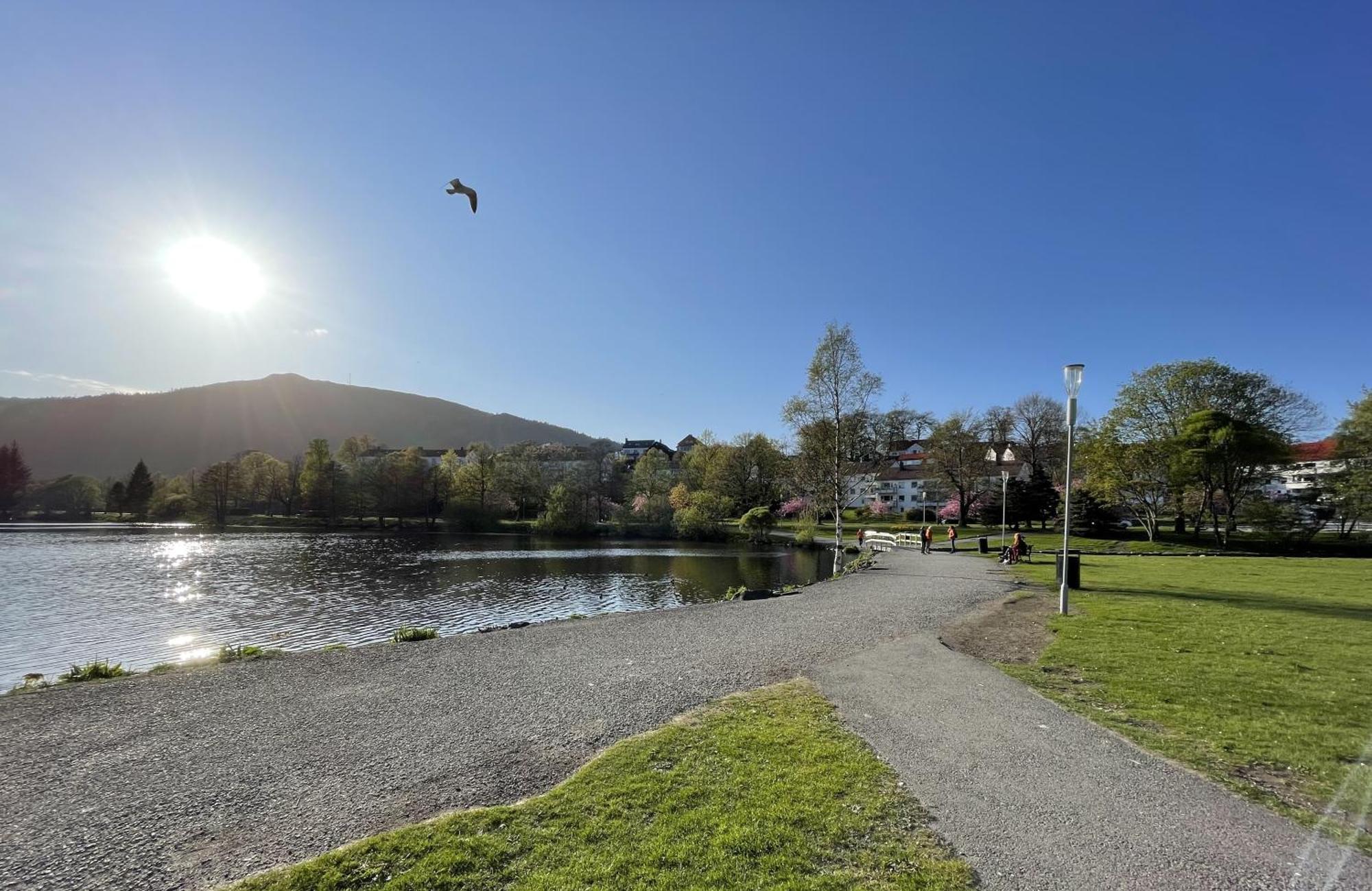 3 Sleeping Rooms For 82M2 Which Direct Traffic To Airport And City Center Bergen Esterno foto