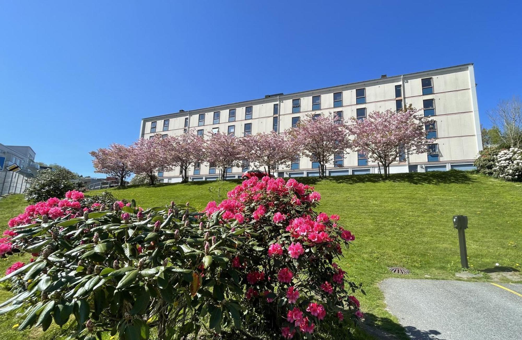 3 Sleeping Rooms For 82M2 Which Direct Traffic To Airport And City Center Bergen Esterno foto